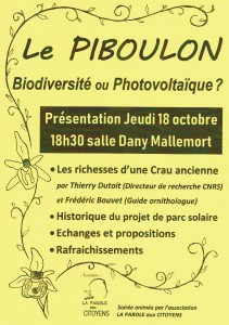 Affiche réunion Piboulon