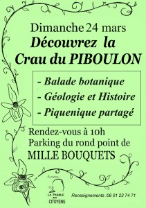 Affiche Piboulon Verte
