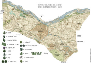 240814-Commune-Plan-ArbresA4