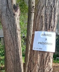 Arbres à Préserver