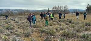 20250323_110316(1)