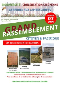 Affiche_Rassemblement_small