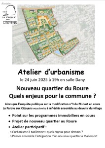 Affiche réunion 24 juin