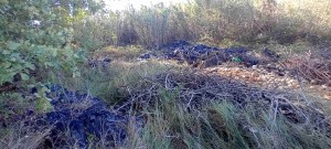 Plastiques agricoles