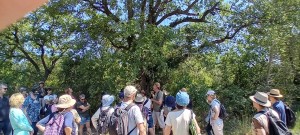 20260524_111916