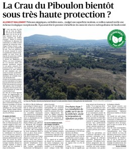 Article protection Piboulon
